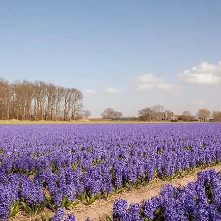 'de Bedstee' Bed & Breakfast